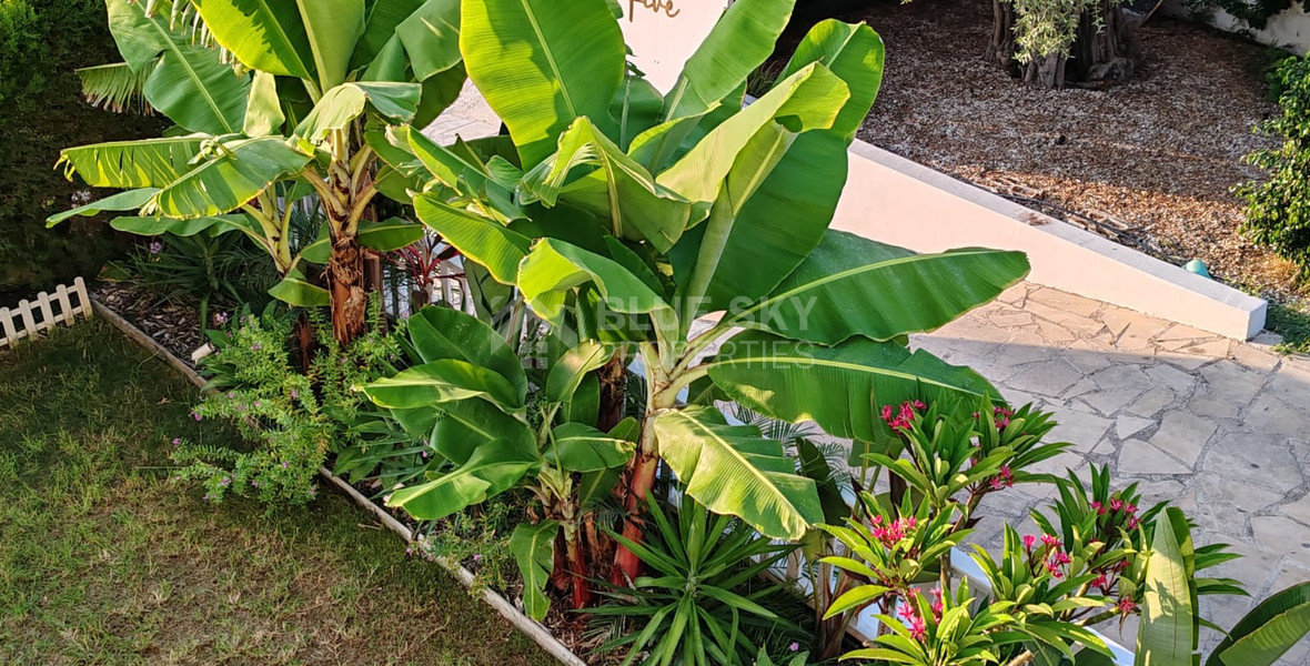 Luxury Four Bedroom Villa for Rent – Comfort, Privacy & Modern Living