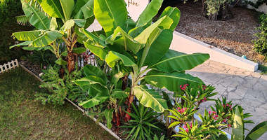 Luxury Four Bedroom Villa for Rent – Comfort, Privacy & Modern Living