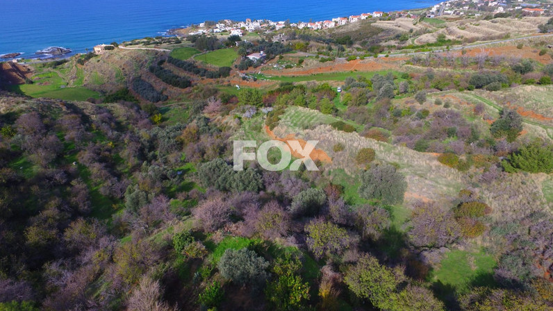 Plot of land for sale 4000 m² in Pomos, Paphos, Cyprus