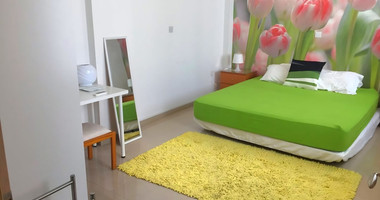 Modern One bedroom apartment for rent  in Agios Georgios Havouzas, near Nikkou Patichi Limassol