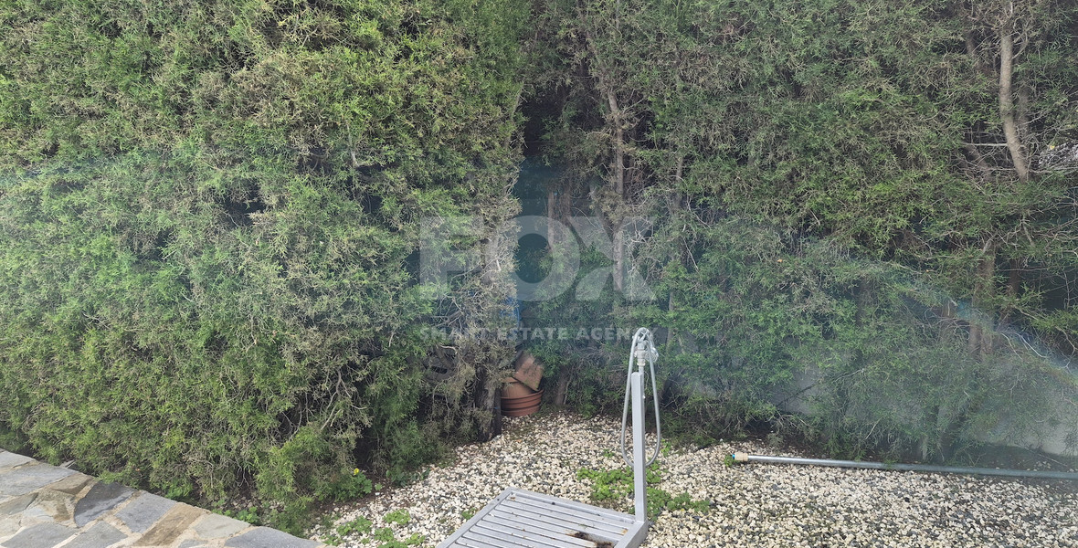 Detached Two Bedroom Villa in Mesa Chorio For Rent