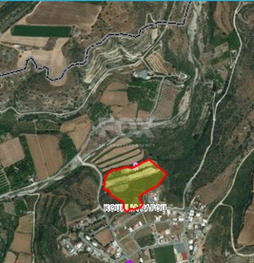 Land For Sale In Kouklia Pafou Paphos Cyprus