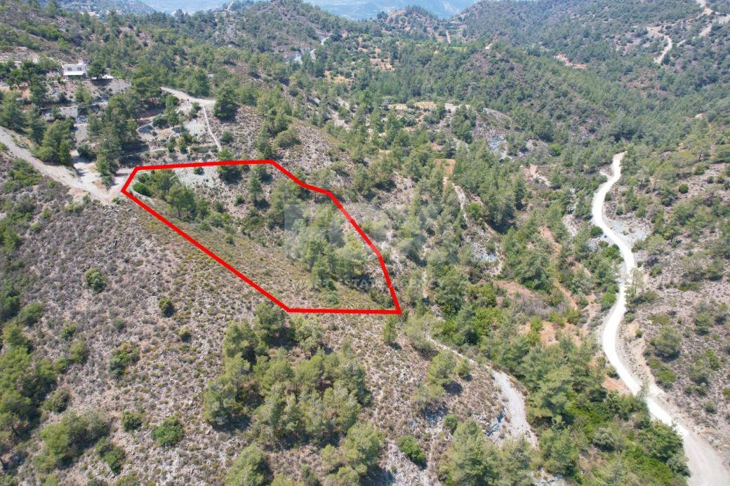 Agricultural Field for Sale in Gerasa, Limassol – Peaceful Rural Setting
