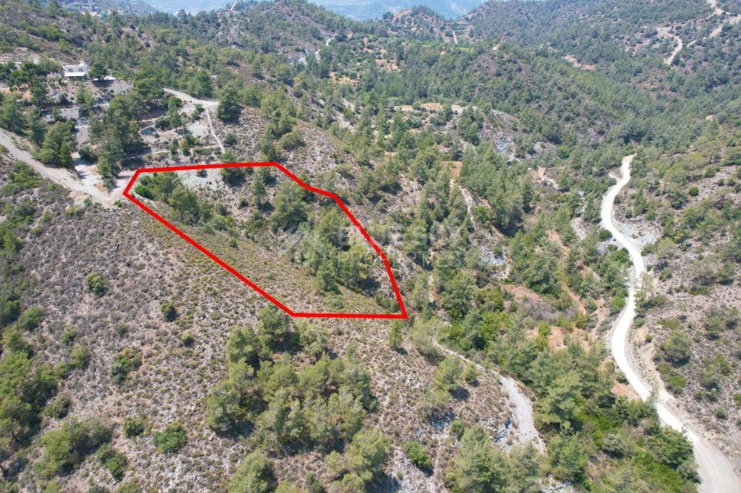 Agricultural Field for Sale in Gerasa, Limassol – Peaceful Rural Setting
