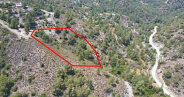 Agricultural Field for Sale in Gerasa, Limassol – Peaceful Rural Setting