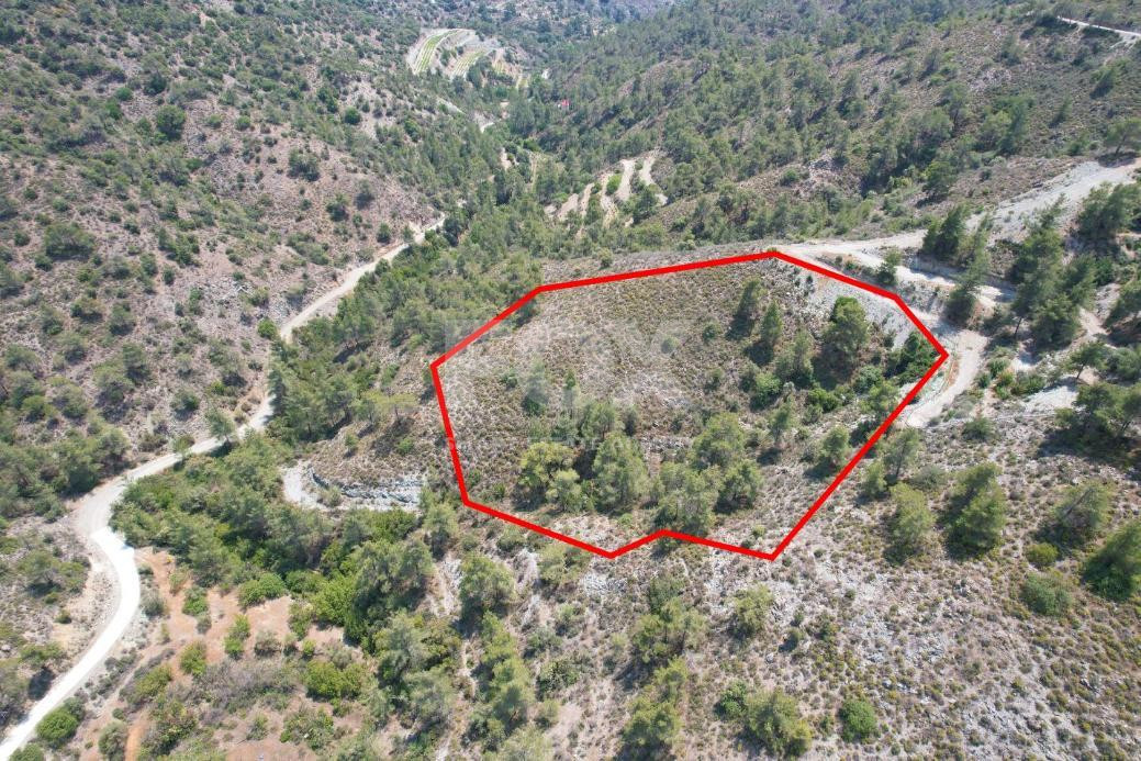 Agricultural Field for Sale in Gerasa, Limassol – Peaceful Rural Setting