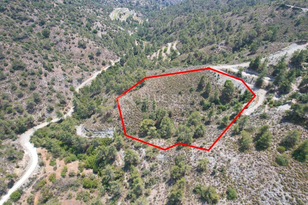 Agricultural Field for Sale in Gerasa, Limassol – Peaceful Rural Setting