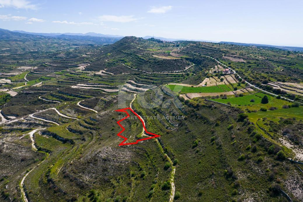 Agricultural Field for Sale in Pachna, Limassol – Accessible Location