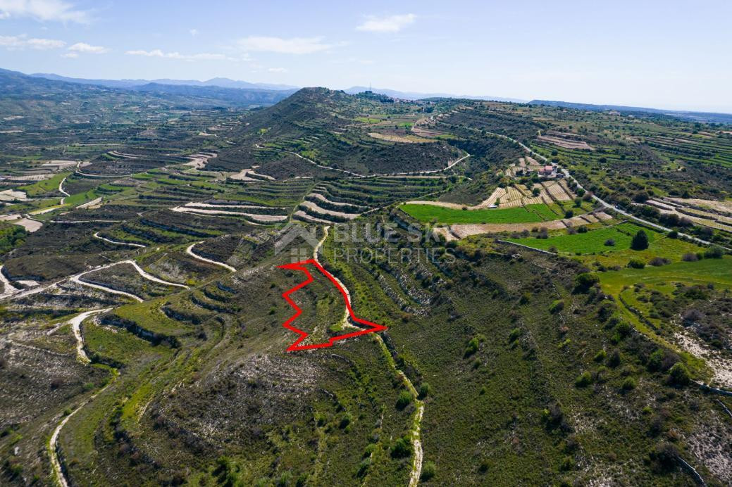 Agricultural Field for Sale in Pachna, Limassol – Accessible Location