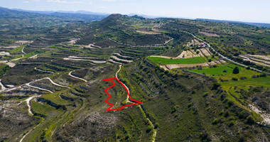 Agricultural Field for Sale in Pachna, Limassol – Accessible Location