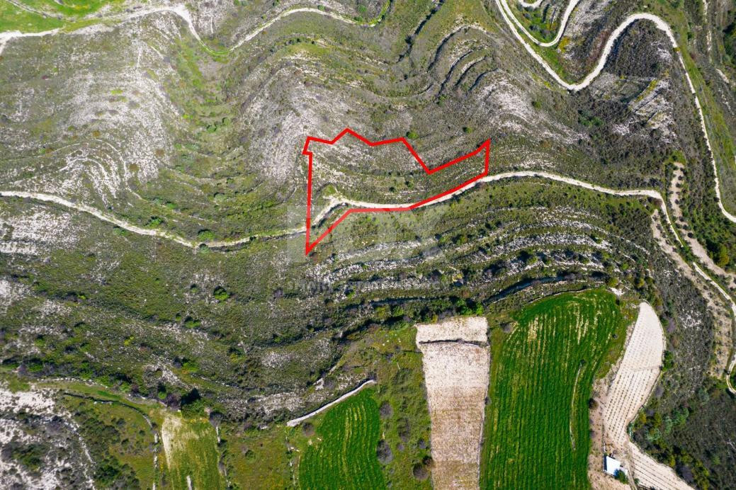 Agricultural Field for Sale in Pachna, Limassol – Accessible Location