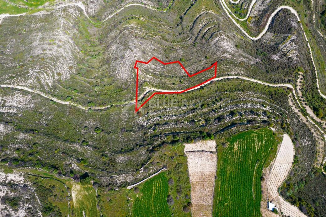 Agricultural Field for Sale in Pachna, Limassol – Accessible Location