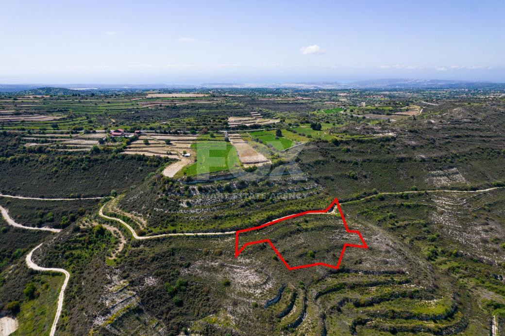 Agricultural Field for Sale in Pachna, Limassol – Accessible Location