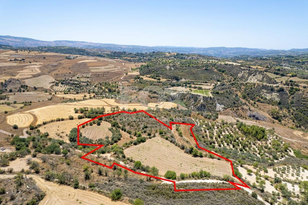 Agricultural field in Thrinia, Paphos for sale