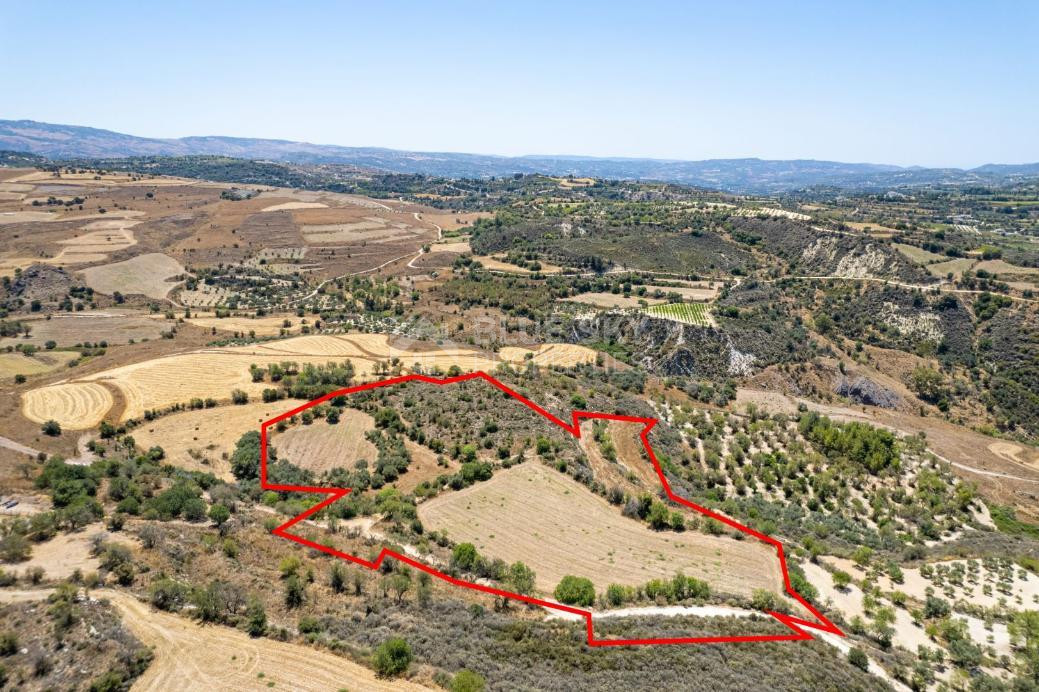 Agricultural field in Thrinia, Paphos for sale