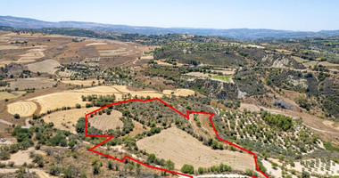 Agricultural field in Thrinia, Paphos for sale