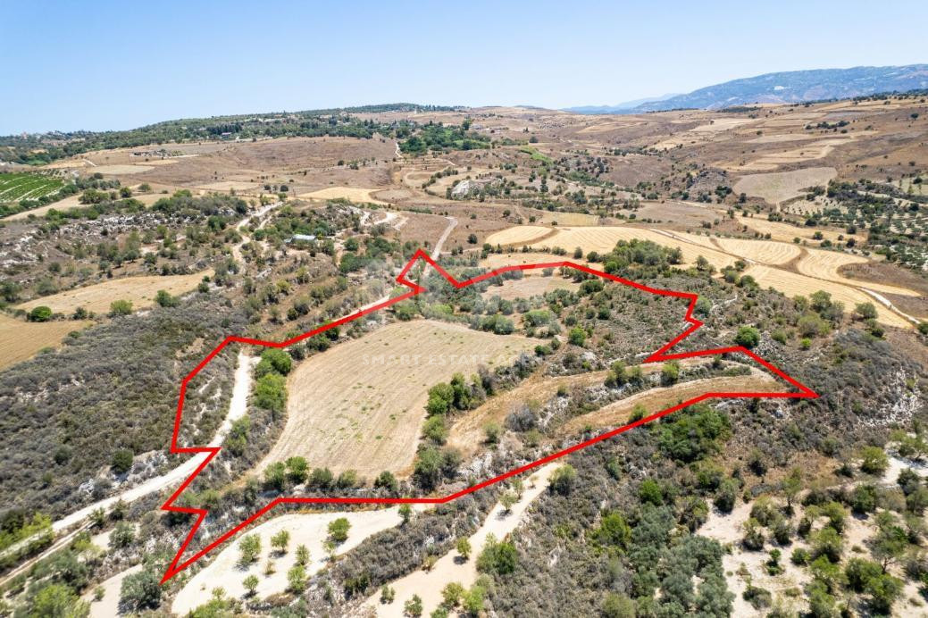 Agricultural field in Thrinia, Paphos for sale