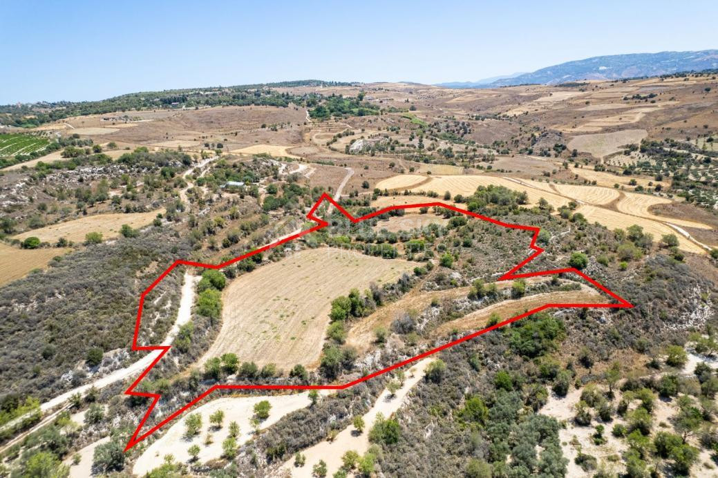 Agricultural field in Thrinia, Paphos for sale