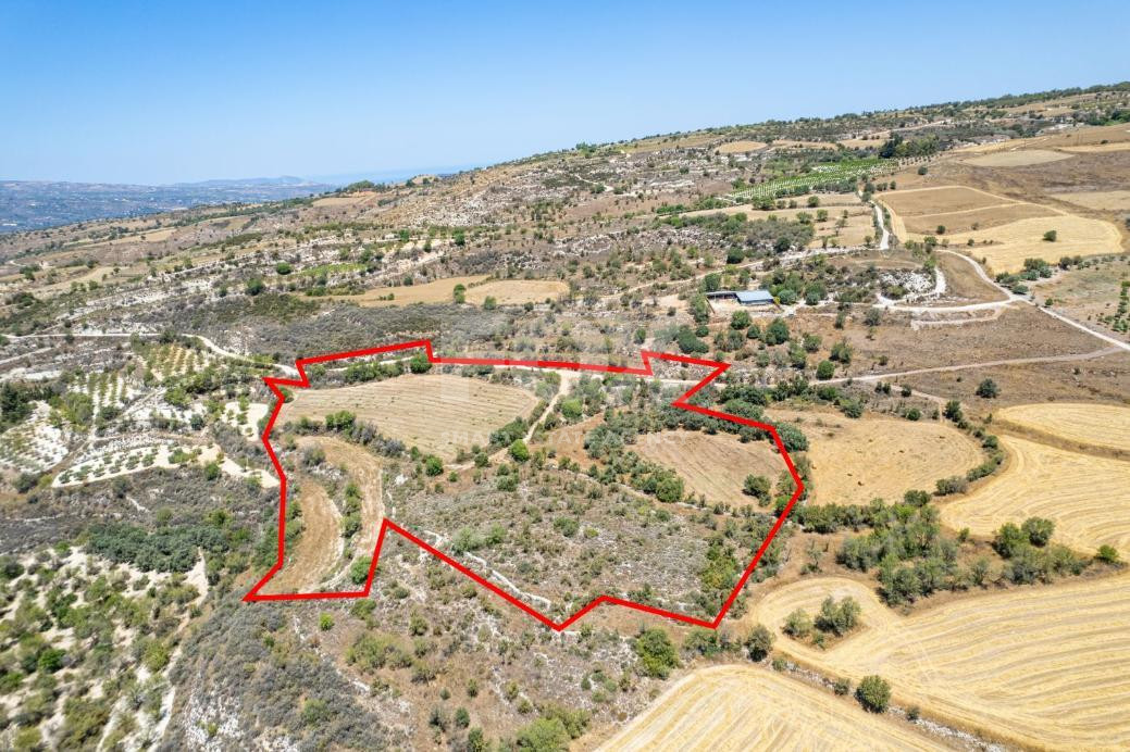 Agricultural field in Thrinia, Paphos for sale