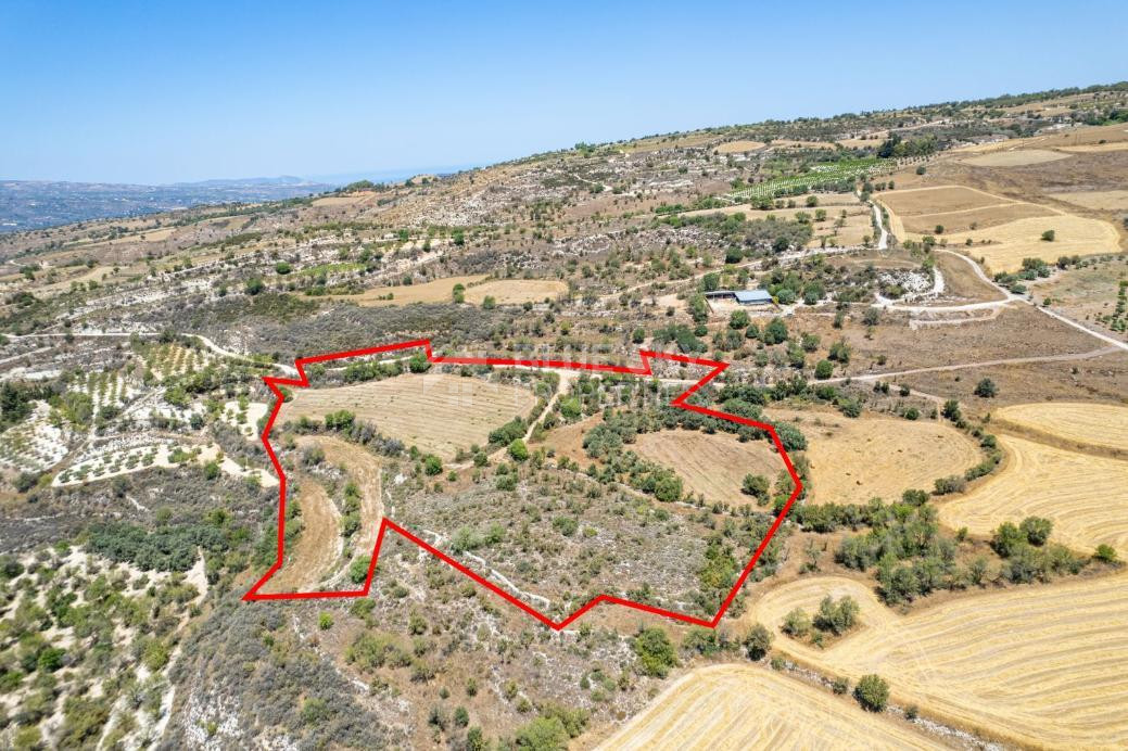 Agricultural field in Thrinia, Paphos for sale