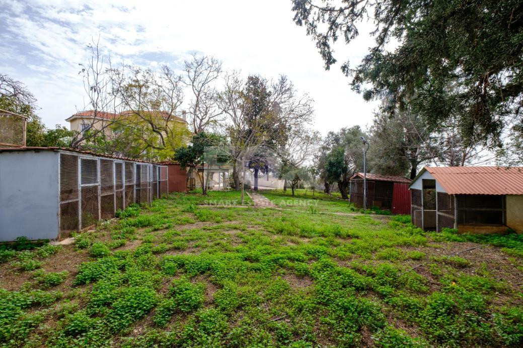 Luxury Detached House with Swimming Pool for Sale in Pegeia, Cyprus