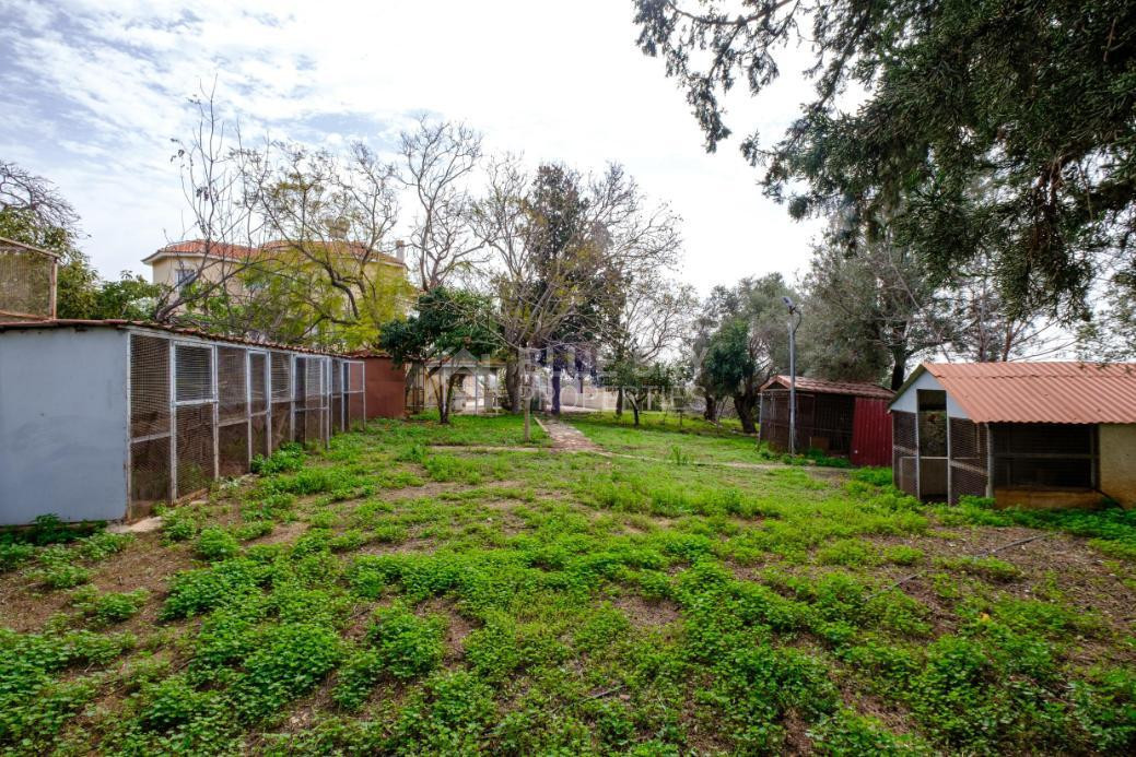 Luxury Detached House with Swimming Pool for Sale in Pegeia, Cyprus