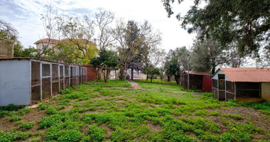 Luxury Detached House with Swimming Pool for Sale in Pegeia, Cyprus