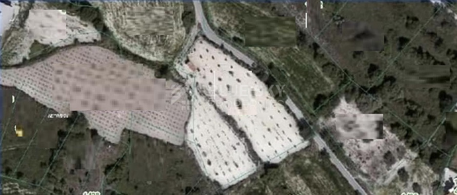 Land for Sale in Letymbou Village, Paphos