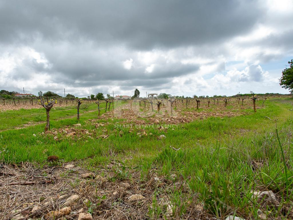 Touristic Field in Holiday Zone (T3δ5α) – Paphos District for sale