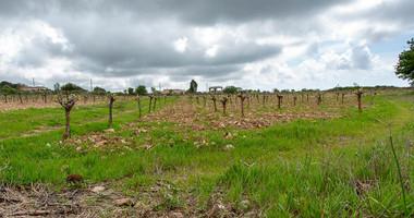 Touristic Field in Holiday Zone (T3δ5α) – Paphos District for sale