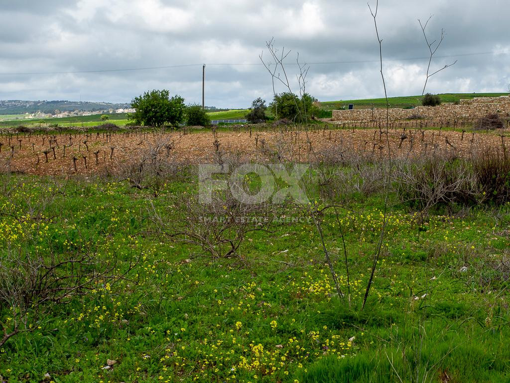 Touristic Field in Holiday Zone (T3δ5α) – Paphos District for sale