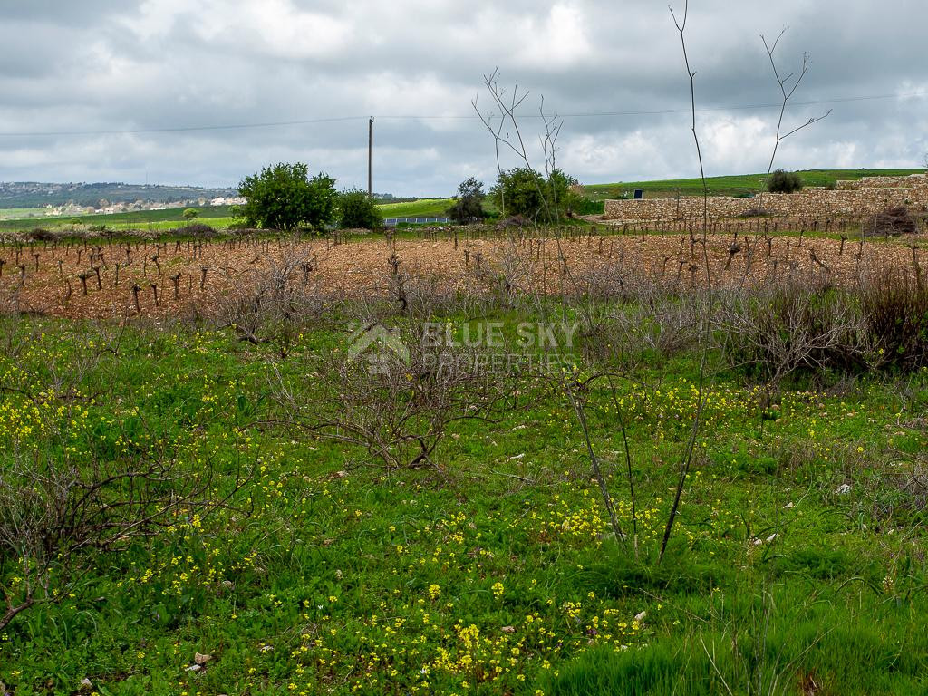 Touristic Field in Holiday Zone (T3δ5α) – Paphos District for sale