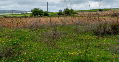 Touristic Field in Holiday Zone (T3δ5α) – Paphos District for sale