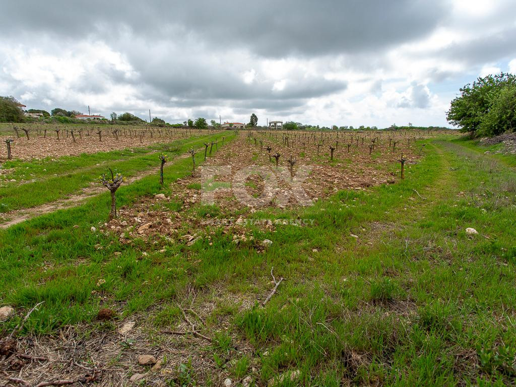 Touristic Field in Holiday Zone (T3δ5α) – Paphos District for sale