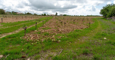 Touristic Field in Holiday Zone (T3δ5α) – Paphos District for sale