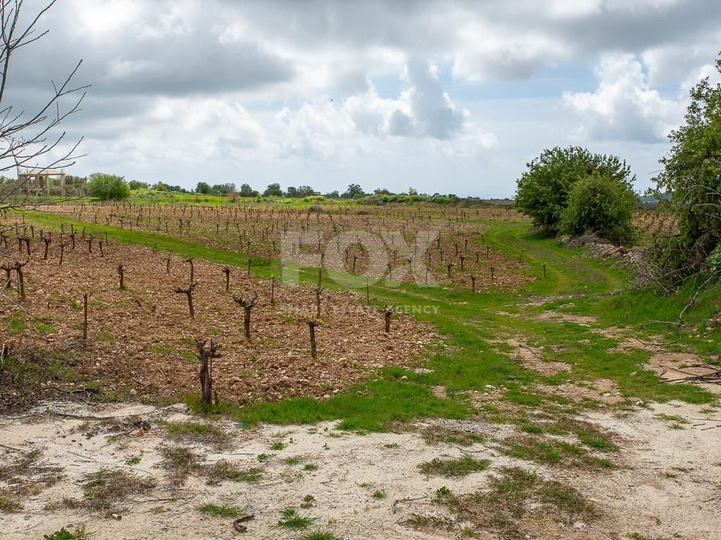 Touristic Field in Holiday Zone (T3δ5α) – Paphos District for sale