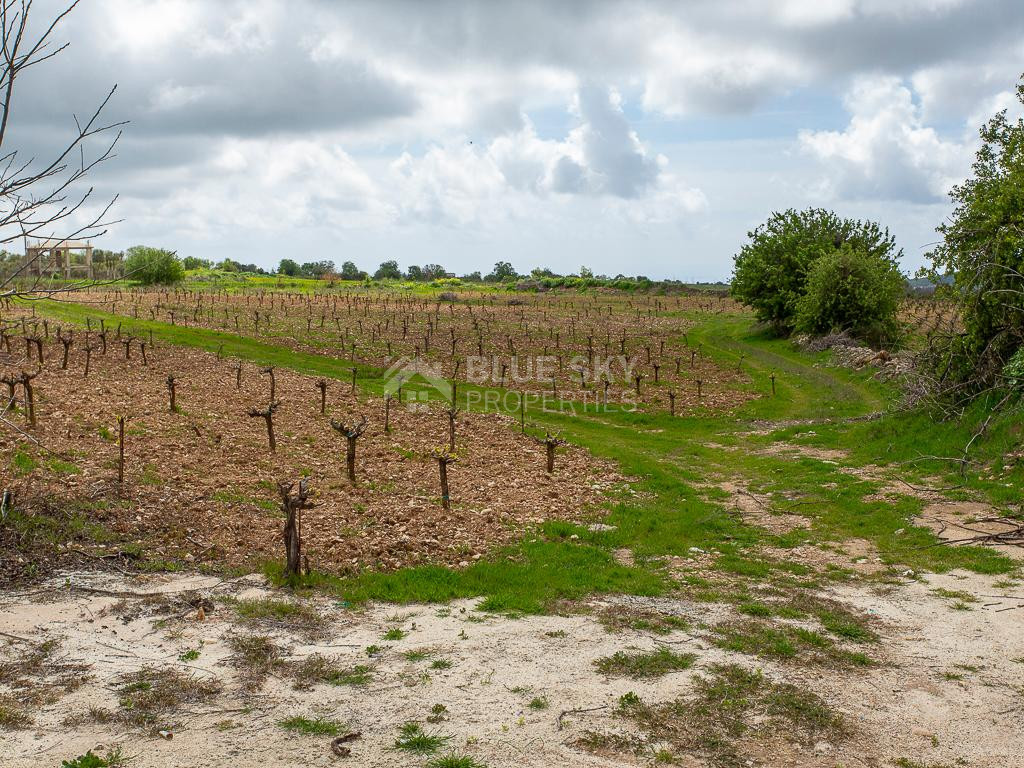 Touristic Field in Holiday Zone (T3δ5α) – Paphos District for sale
