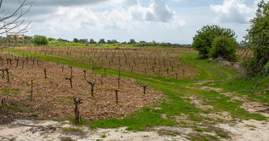 Touristic Field in Holiday Zone (T3δ5α) – Paphos District for sale