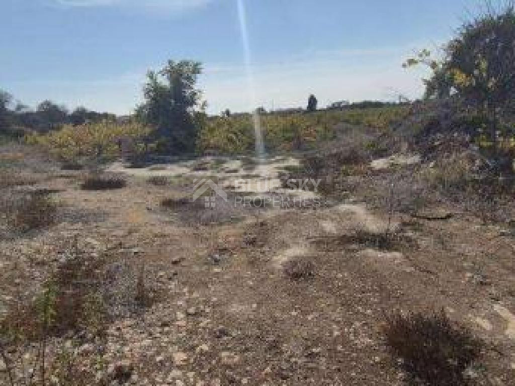 Touristic Field in Holiday Zone (T3δ5α) – Paphos District for sale