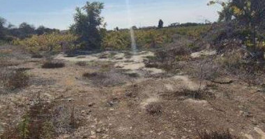 Touristic Field in Holiday Zone (T3δ5α) – Paphos District for sale