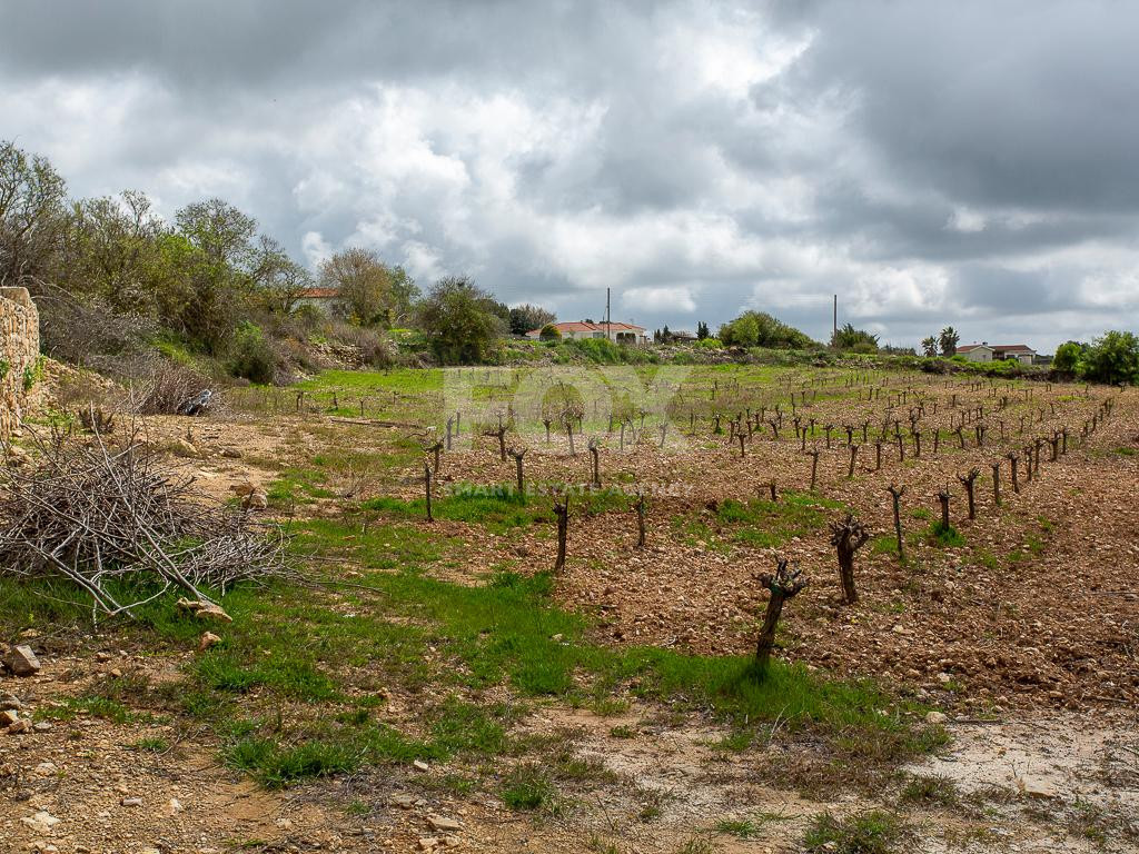 Touristic Field in Holiday Zone (T3δ5α) – Paphos District for sale