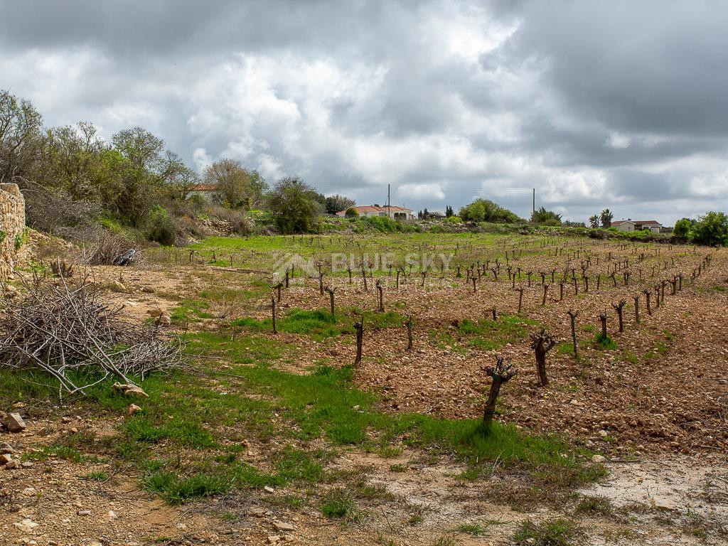 Touristic Field in Holiday Zone (T3δ5α) – Paphos District for sale