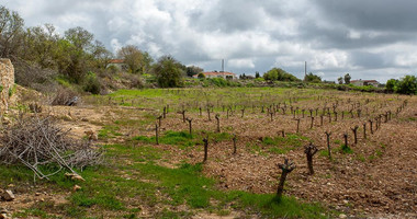 Touristic Field in Holiday Zone (T3δ5α) – Paphos District for sale