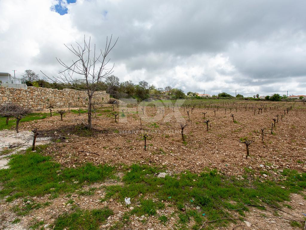 Touristic Field in Holiday Zone (T3δ5α) – Paphos District for sale