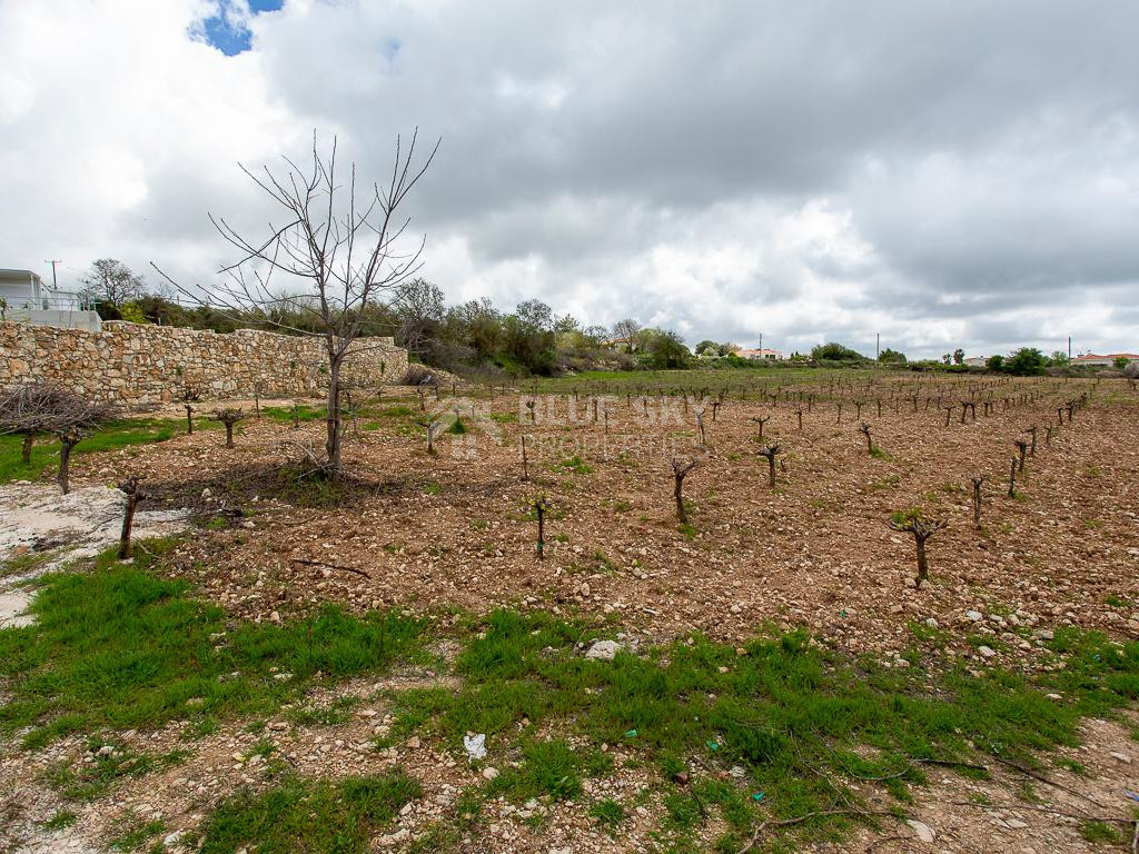Touristic Field in Holiday Zone (T3δ5α) – Paphos District for sale