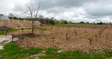 Touristic Field in Holiday Zone (T3δ5α) – Paphos District for sale