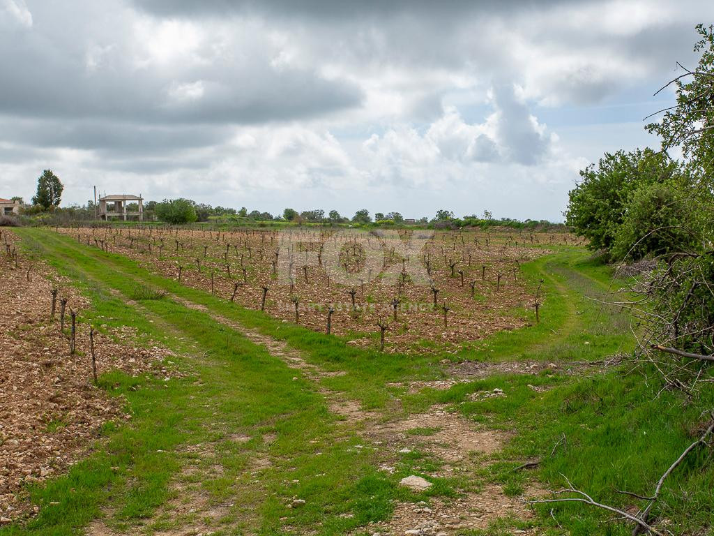 Touristic Field in Holiday Zone (T3δ5α) – Paphos District for sale