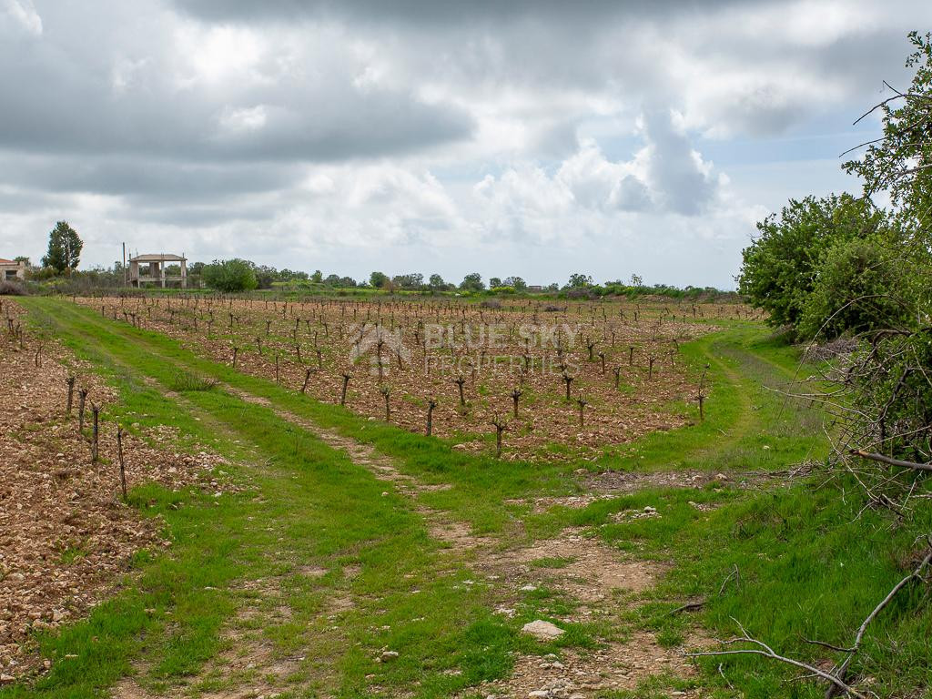 Touristic Field in Holiday Zone (T3δ5α) – Paphos District for sale