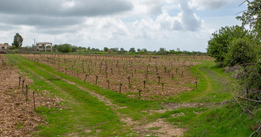 Touristic Field in Holiday Zone (T3δ5α) – Paphos District for sale