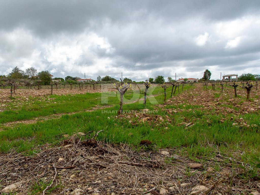 Touristic Field in Holiday Zone (T3δ5α) – Paphos District for sale